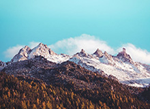 午夜测试服伤害统计插件新增“受到的敌方伤害”指标