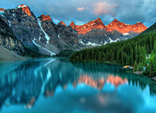 植物大战脑腐终极融合狂潮活动指南